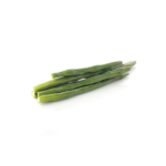 Moringa Oleifera (सहजन)