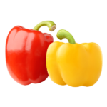 Capsicum (शिमला मिर्च)