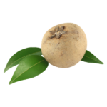 Sapota (Chiku) – चीकू