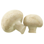Mushroom (मशरूम)