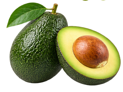 Avocado (एवोकाडो)