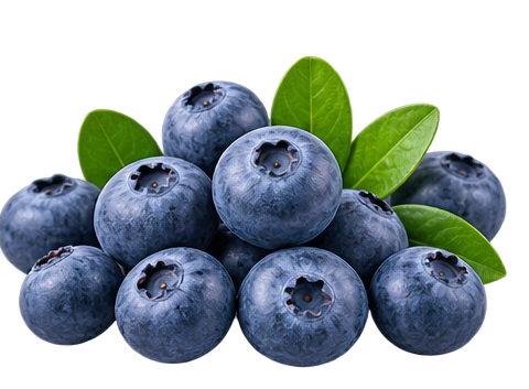 Blueberry (ब्लूबेरी)