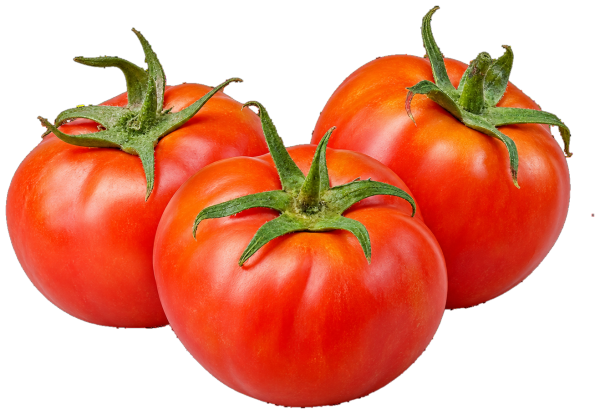 Desi Tomato (देसी टमाटर)