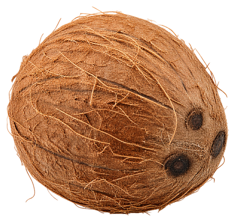 Pooja Coconut (पूजा नारियल)