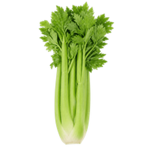 Celery (सेलेरी)