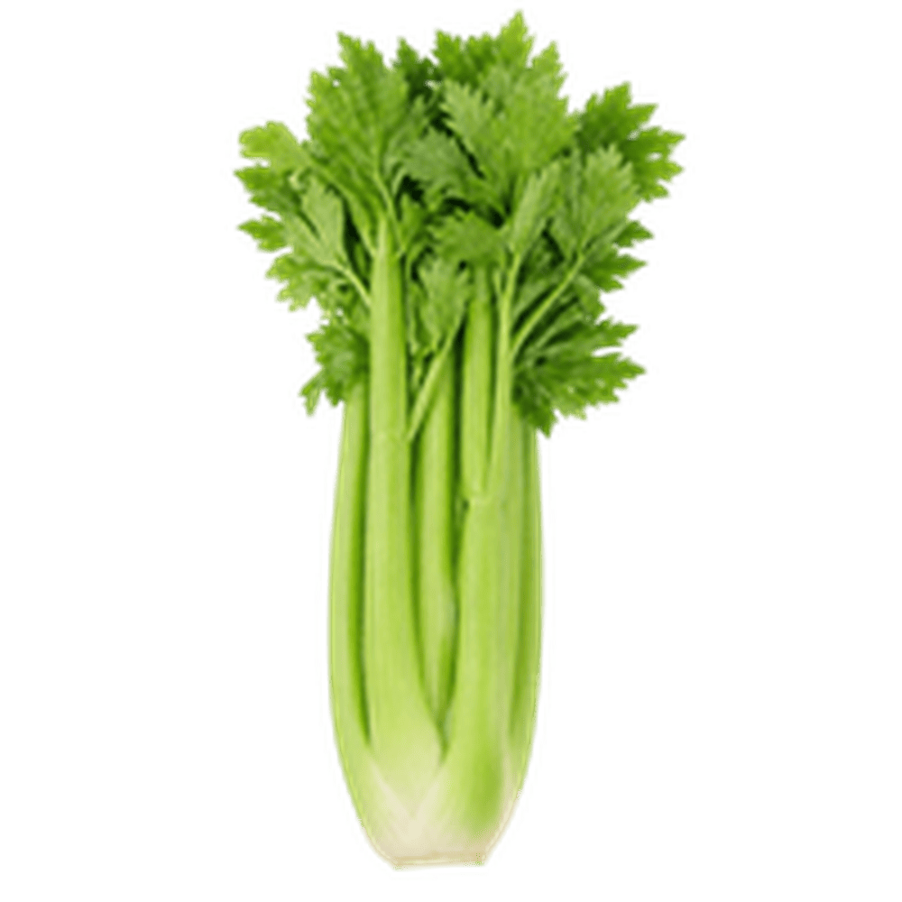 Celery (सेलेरी)