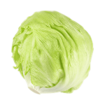 Iceberg (आइसबर्ग लेट्यूस)
