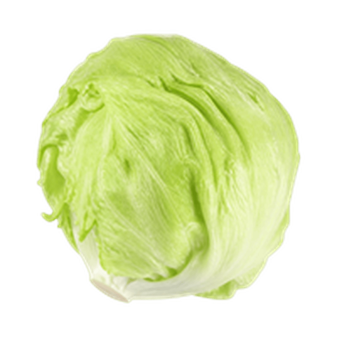 Iceberg (आइसबर्ग लेट्यूस)