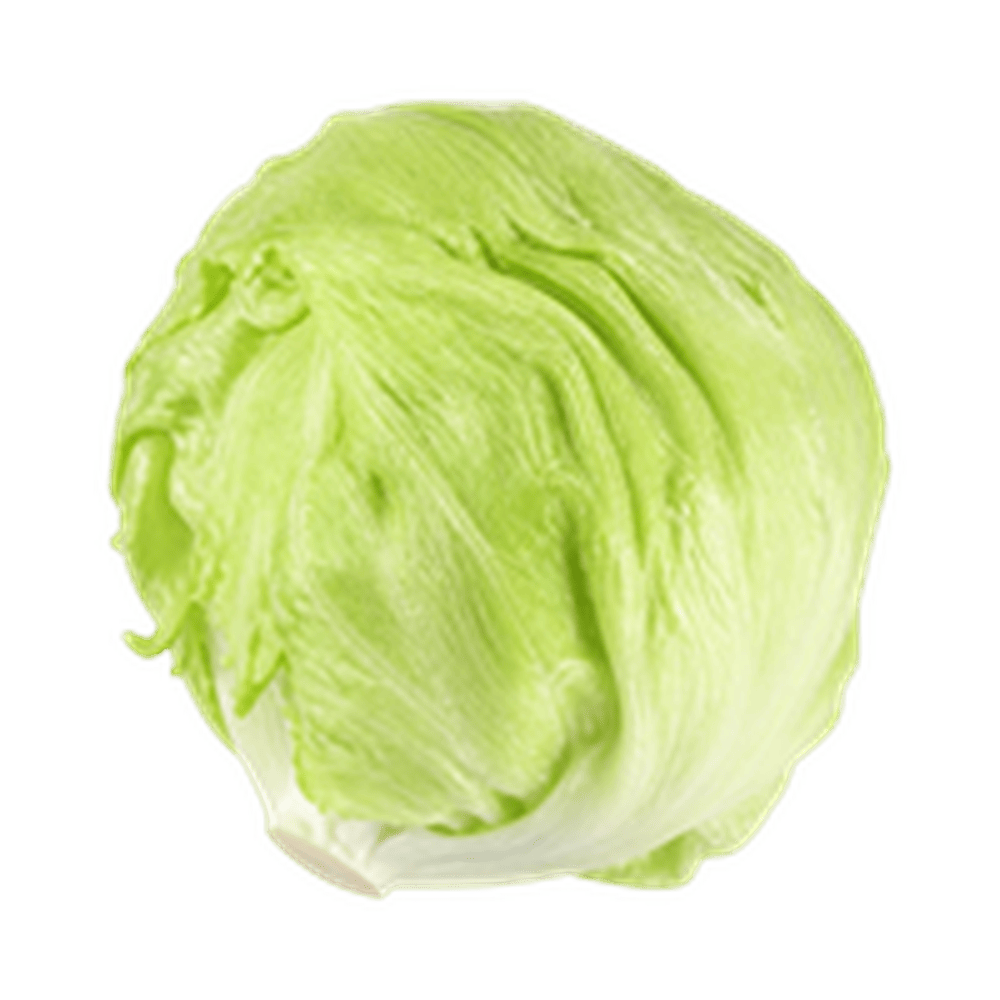 Iceberg (आइसबर्ग लेट्यूस)