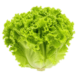 Lettuce (लेट्यूस (सलाद पत्ता))